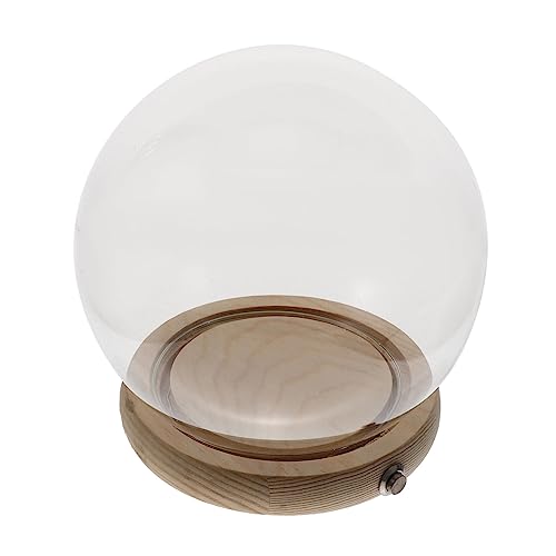 AUTSUPPL Glasglocke Transparente Mit Holzsockel Blumenkuppel Für Heimdekor Mikro-landschafts-glasglocke Glasabdeckung Zum Präsentieren Von Pflanzen AUTSUPPL Glasglocke Transparente Mit Holzsockel Blumenkuppel Für Heimdekor Mikro-landschafts-glasglocke Glasabdeckung Zum Präsentieren Von Pflanzen von AUTSUPPL