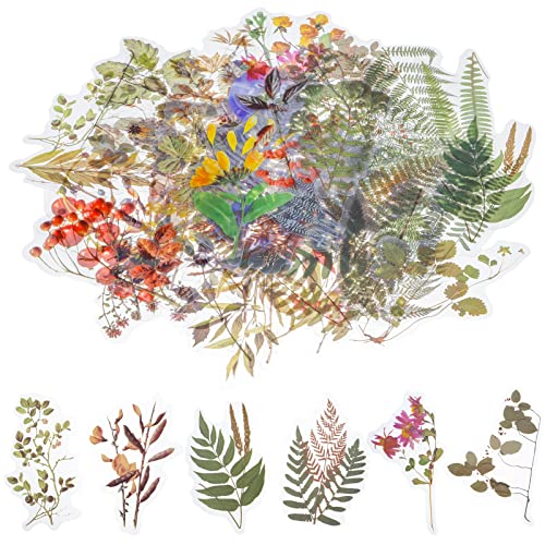 AUXSOUL 120 Stück Scrapbook Stickers Transparente Dekorative Aufkleber Blumen Sticker Fotoalbum Set PET Durchsichtiger Hintergrund für DIY Scrapbook Fotoalben Tagebüchern(Set 3) von AUXSOUL
