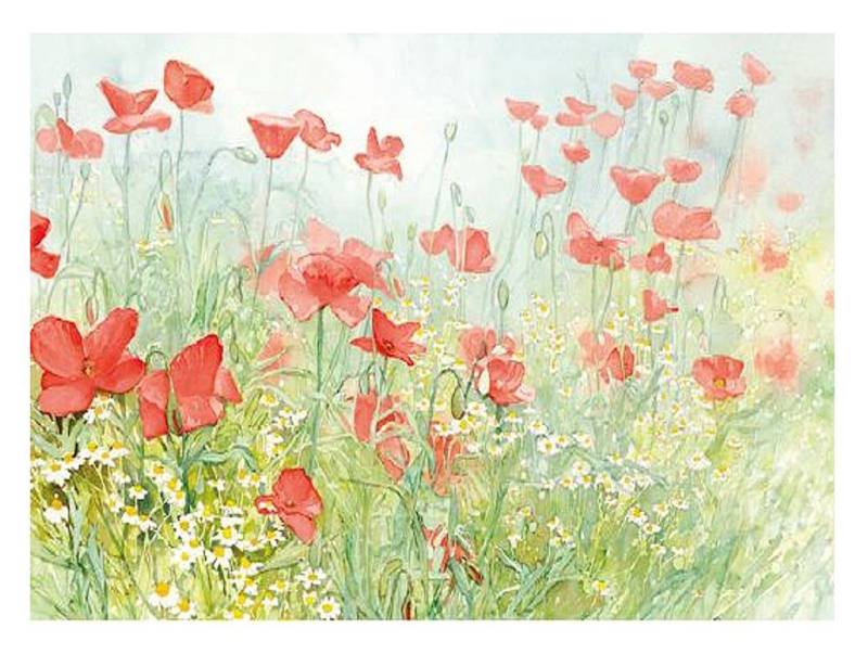 AVA Platzset, Tischsets aus Papier 43x30cm Mohnblumen Motiv 50 Stück Grün / Bunt von AVA