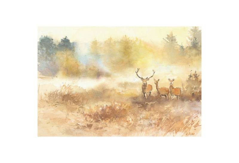 AVA Platzset, Tischsets aus Papier 43x30cm Natur und Reh Motiv 50 Stück von AVA