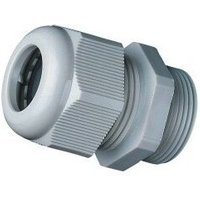 PG21-Kabelverschraubung ohne Kontermutter – Polyamid – IP68 – Grau PG21-Kabelverschraubung ohne Kontermutter – Polyamid – IP68 – Grau von AVB