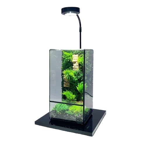 Terrarium Container, Rechteckig Tischplatte Glas Terrarium, Geometrische Terrarium Kleines Moos, Terrarium-Box Für Schreibtisch, Tischplatte Blumentopf Container Halter Landschaft ( Color : 11*11*21cm von AVCULT