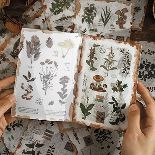 Pflanze Washi Aufkleber für Journaling Scrapbooking Planer Sticker Ephemera Sticker Buch Junk Journal Aufkleber für Erwachsene - 20 Blatt (170 Stück) von AVECMOI