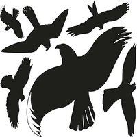 6 AVERY Zweckform Hinweisaufkleber Warnvögel Vogel 7,6 x 12,0 cm 6 AVERY Zweckform Hinweisaufkleber Warnvögel Vogel 7,6 x 12,0 cm von AVERY Zweckform