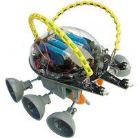 Flucht-Roboter C9813 von AVIMAC