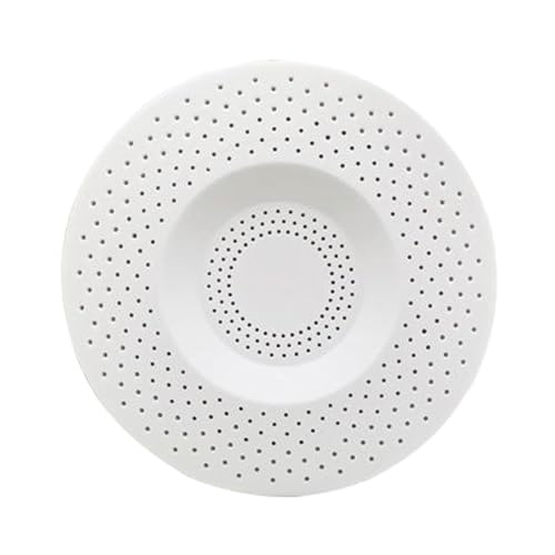 AVKGCZ Rauchmelder Higgy Banks Desktop Ornamente Geburtstagsgeschenk Für Jungen Home Offices Secret Fach Schweinchen Plastik Geheimes Geld von AVKGCZ