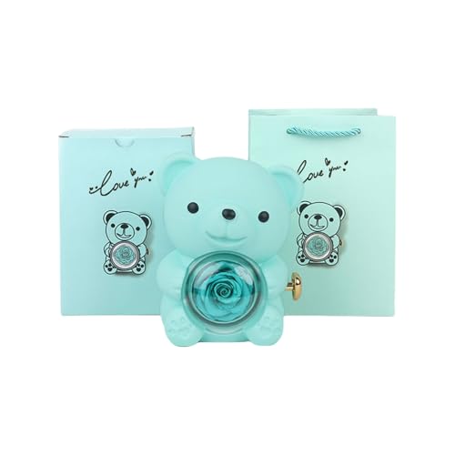 Eternals Rose Und Bärende Designs Präsentieren Box Dekorative Nachtverzierungen Für Valentinstag Hochzeit Andere Veranstaltung Erhaltene Rose Und Bärenbox von AVKGCZ