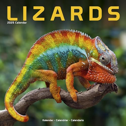 Lizards – Eidechsen 2025 – 16-Monatskalender: Original Avonside-Kalender [Mehrsprachig] [Kalender] (Wall-Kalender) von AVONSIDE