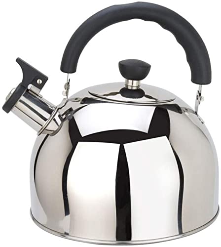 AWAING Wasserkessel für Holzofen Pfeifen-Teekanne aus Edelstahl mit großer Kapazität für Tee-Kaffee und Haushaltskessel zum Erhitzen von Milch Flötenkessel Gasherd(Color:Silver;Size:6L) von AWAING