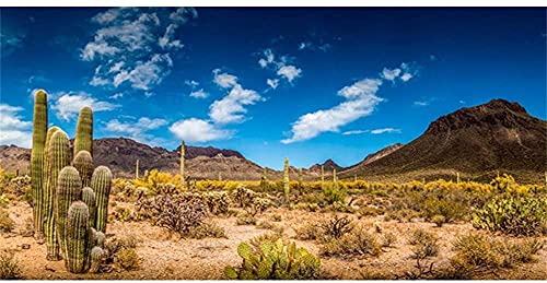 AWERT 91,4 x 45,7 cm Reptilien-Habitat-Hintergrund, blauer Himmel-Oasis, Kaktus, Wüstenterrarium, Hintergrund aus strapazierfähigem Polyester von AWERT