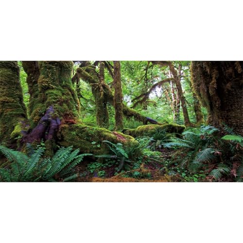 AWERT 91,4 x 45,7 cm Tropischer Wald Terrarium Hintergrund Grün Riesiger Baum Reptilien Habitat Hintergrund Regenwald Aquarium Hintergrund Durable Polyester Hintergrund AWERT 91,4 x 45,7 cm Tropischer Wald Terrarium Hintergrund Grün Riesiger Baum Reptilien Habitat Hintergrund Regenwald Aquarium Hintergrund Durable Polyester Hintergrund von AWERT