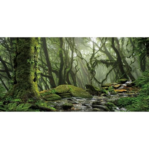 AWERT Nebel Wald Terrarium Hintergrund Bach Grün Riesiger Baum Reptil Habitat Hintergrund Tropischer Regenwald Aquarium Hintergrund 91,4 x 45,7 cm Durable Polyester Hintergrund von AWERT