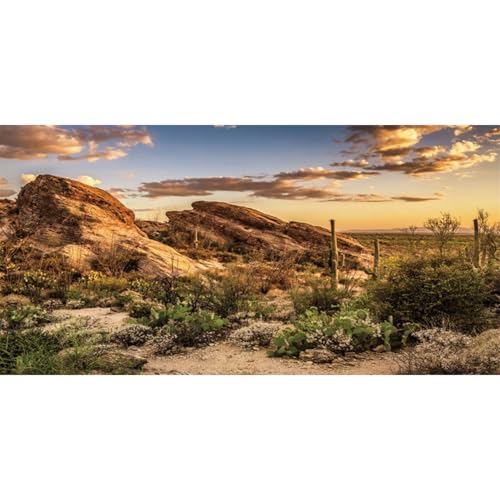 AWERT Reptilien-Habitat-Hintergrund, blauer Himmel-Oasis, Kaktus, Sonne und Wüsten-Terrarium, 152,4 x 61 cm, robuster Polyester-Hintergrund AWERT Reptilien-Habitat-Hintergrund, blauer Himmel-Oasis, Kaktus, Sonne und Wüsten-Terrarium, 152,4 x 61 cm, robuster Polyester-Hintergrund von AWERT
