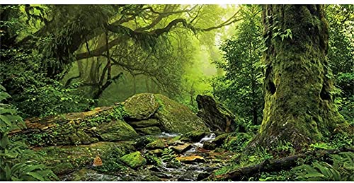 AWERT Tropischer Wald Terrarium Hintergrund Bach Grün Riesiger Baum Reptil Habitat Hintergrund Nebel Regenwald Aquarium Hintergrund 152,4 x 61 cm Durable Polyester Hintergrund von AWERT