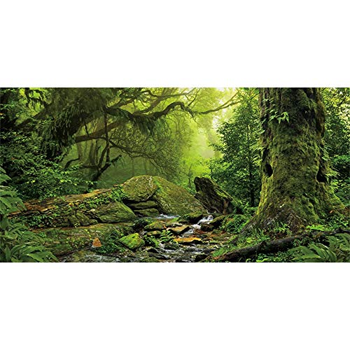 AWERT Tropischer Wald Terrarium Hintergrund Bach Grün Riesiger Baum Reptil Habitat Hintergrund Nebel Regenwald Aquarium Hintergrund 76,2 x 45,7 cm Durable Polyester Hintergrund von AWERT