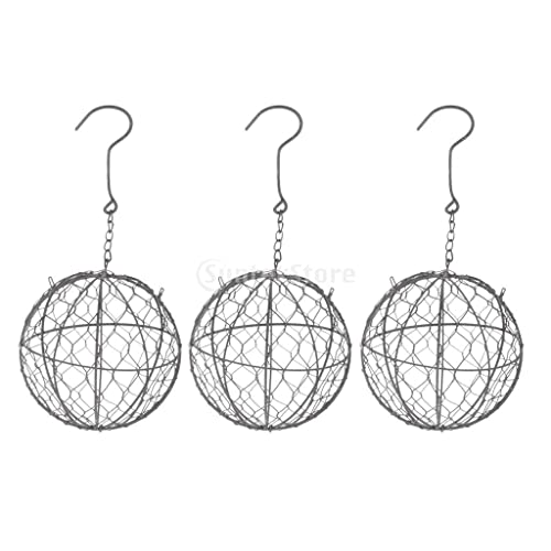 AWHAO 3X 1x Pflanzenhalter Metall Sukkulenten Pflanzer Wandbehang Kunst Rasendekoration AWHAO 3X 1x Pflanzenhalter Metall Sukkulenten Pflanzer Wandbehang Kunst Rasendekoration von AWHAO