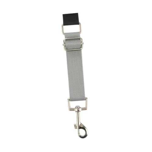 ＡＷＨＡＯ Haustierhundpfleger Arm Extender Groomer Helfer Hundepfeiler Leinenschleife Extender für Haustierbaden, Grau von ＡＷＨＡＯ