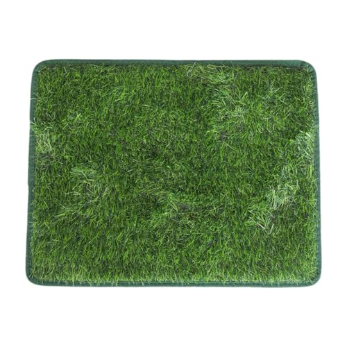 AWHAO Kunstrasen Hundeurinmatte, Kunstrasenmatte Waschbar, Hundetöpfchen, Haustiertoilette, Grasmatte für, 40 cm X 60 cm AWHAO Kunstrasen Hundeurinmatte, Kunstrasenmatte Waschbar, Hundetöpfchen, Haustiertoilette, Grasmatte für, 40 cm X 60 cm von AWHAO