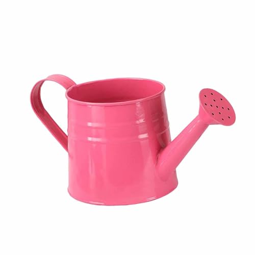ＡＷＨＡＯ Mini Gießkanne Aus Metall für Die Dekoration Und Garten, Rose Rot von ＡＷＨＡＯ