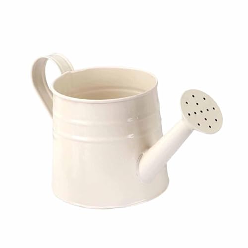 ＡＷＨＡＯ Mini Gießkanne Aus Metall für Die Dekoration Und Garten, Weiß von ＡＷＨＡＯ