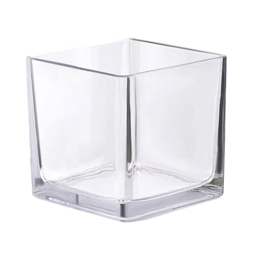 ＡＷＨＡＯ Tank Mini Aquarium Ornamental Kleines Glas Tragbare Kreative Klare Schüssel für Garnelen Wasserpflanzen Terrapin Critters von ＡＷＨＡＯ