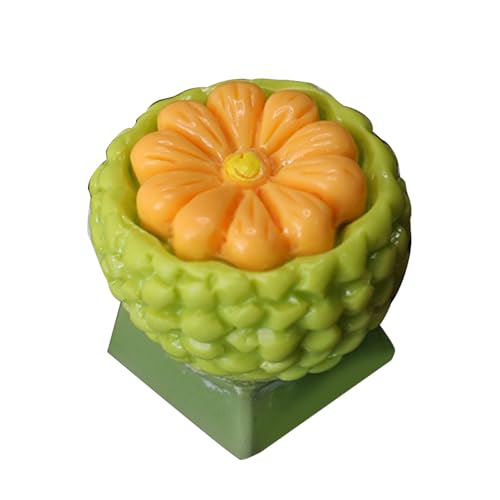Bunte mechanische Tastaturen aus Kunstharz, Obst-Designs, einschließlich Erdbeer-Litschi, Mangostan, zum Stressabbau, anpassbare Frucht-Tastenkappen zum Tippen von AWJUWHBJ