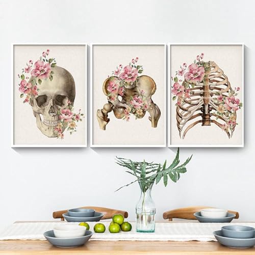 AWKFHF Blumen Skelett Anatomie Bilder,Medizinische Leinwandbild Poster Kunstdruck Klinik Krankenhaus Deko Bilder Wanddekoration - ohne Rahmen (3X30X50CM,ohne Rahmen) von AWKFHF