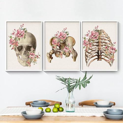 AWKFHF Blumen Skelett Anatomie Bilder,Medizinische Leinwandbild Poster Kunstdruck Klinik Krankenhaus Deko Bilder Wanddekoration - ohne Rahmen (3X40X60CM,ohne Rahmen) von AWKFHF