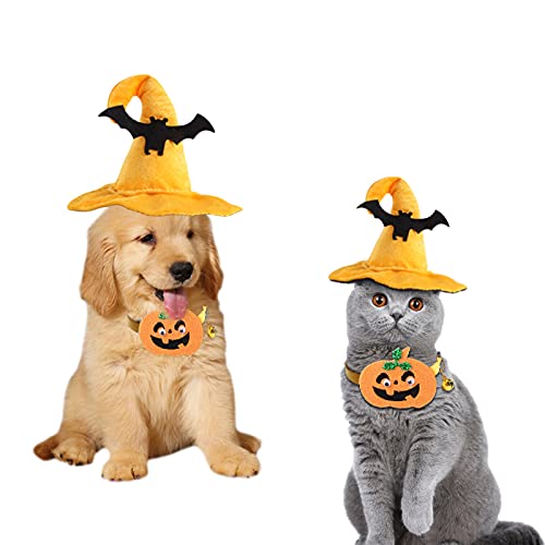 AWOCAN Halloween Hund Katze Kürbis Zauberer Hexe Hut Fledermaus Druck Halloween Cosplay für kleine Hunde und Katzen Halloween Dekoration (M) von AWOCAN