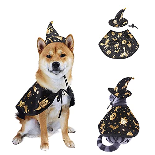 AWOCAN Haustier Halloween Hund Katze Kostüm Umhang Hexe Umhang Hexe Hut Kostüm für Katzen und kleine Hunde Halloween Kleidung (L) von AWOCAN