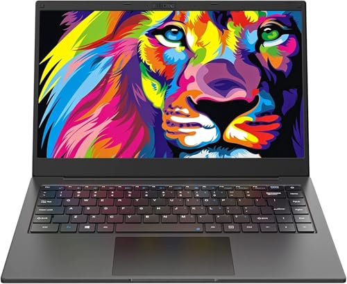 AWOW Notebook mit Intel Core i5 Prozessor (bis zu 4,1 GHz), 8 GB DDR4-RAM, 256 GB SSD, FHD-Display, Windows 10 Home, WiFi, Bluetooth 5.1, englische Tastatur von AWOW