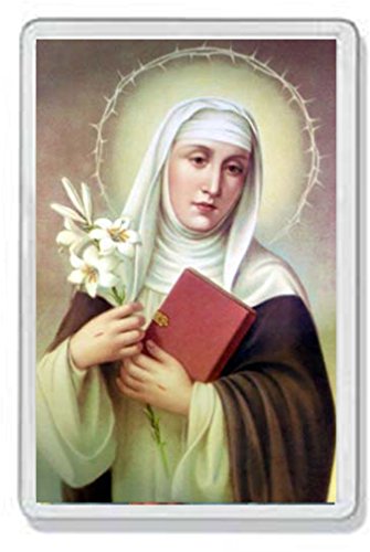 AWS Magnet Santino in PVC harte Santa Caterina von Siena Souvenir Fridge Magnet Magnet für Kühlschrank aus hartem Kunststoff mit Bild Foto immaginetta Votiv Patronin Italiens AWS Magnet Santino in PVC harte Santa Caterina von Siena Souvenir Fridge Magnet Magnet für Kühlschrank aus hartem Kunststoff mit Bild Foto immaginetta Votiv Patronin Italiens von AWS