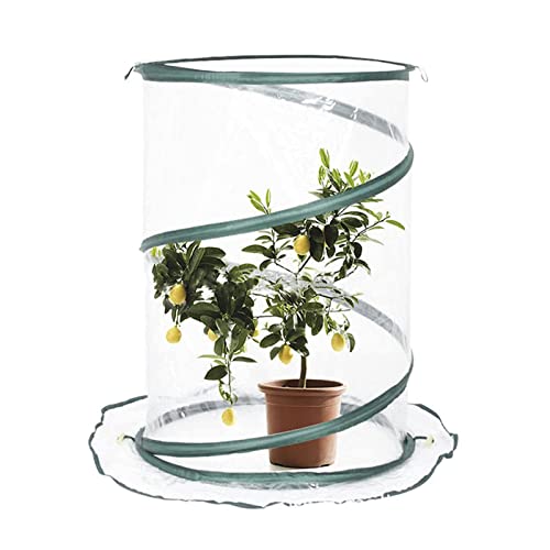 AWSAD ​Pop Up Gewächshaus ​Klein Gewächshaus Balkon Mini Gewächshaus Tomatengewächshaus Robuster Plane Mit Reißverschluss Überwinterungszelt für Pflanzen (Color : Transparent, Size : 68x50cm) von AWSAD