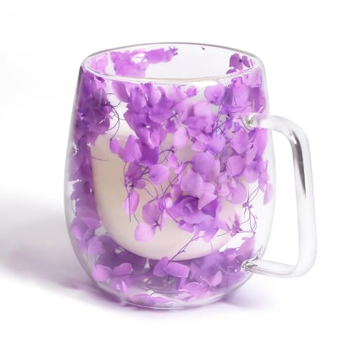 AWSOLAR Doppelwandige Kaffeegläser 350ml, Getrocknete Blumen Glastasse, Teeglas Doppelwandig Geschenke für Frauen Mutter Frau Lehrer Freund AWSOLAR Doppelwandige Kaffeegläser 350ml, Getrocknete Blumen Glastasse, Teeglas Doppelwandig Geschenke für Frauen Mutter Frau Lehrer Freund von AWSOLAR
