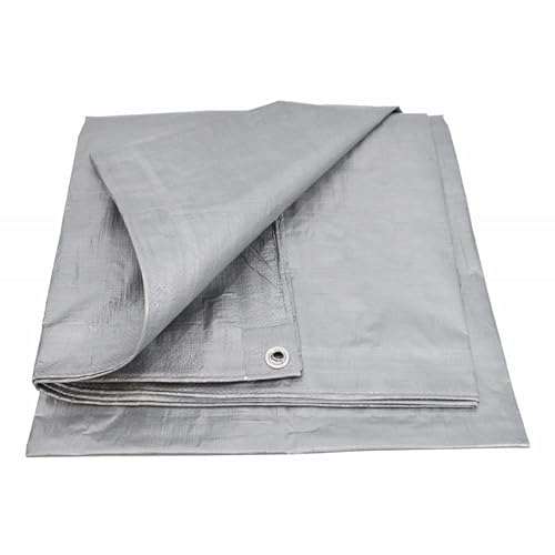 AWTOOLS SILBER PLANDE 120g 8*12m AWTOOLS SILBER PLANDE 120g 8*12m von AWTOOLS