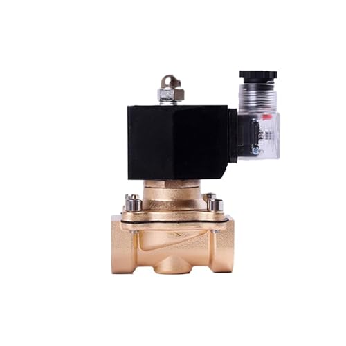 AWWVRLMM 2T Serie Normalerweise Geschlossen Messing Magnetventil DN10-50 Flüssiggas Gas Schalter Wasser s 220V 24V 12V(G-24vdc,DN20) von AWWVRLMM