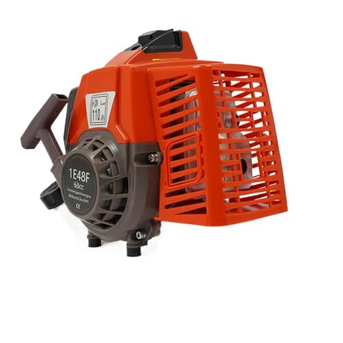 63cc 2-Takt 2,2-kW-luftgekühlter Motor oder 31 ccm 4-Takt-Pull-Start-Motor Einer Zylindermotor kompatibel mit kleinen Maschinen(63cc 2-Takt) von AWXGFVKZ