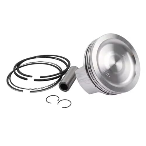 AWXGFVKZ Kolben mit Ring 75 mm Durchmesser für GTS GTV GTS300 GTV300 Compatible Motorcycle Accessoires 13101-L3A-000 13101-BCF-010 von AWXGFVKZ