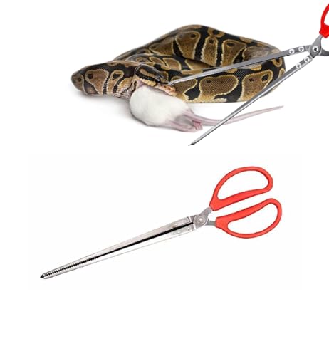 AWXZOM Robuste Schlangen-Futterzange, Reptilien-Futterzange, extra lange Pinzette für Kugelpython, Fischaquarien, Reptilien, Schlangen, Krabbenzange, 38,1 cm AWXZOM Robuste Schlangen-Futterzange, Reptilien-Futterzange, extra lange Pinzette für Kugelpython, Fischaquarien, Reptilien, Schlangen, Krabbenzange, 38,1 cm von AWXZOM