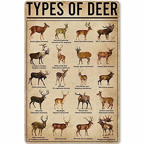 AXHNG Vintage Art of Deer Deer Knowledge Popular Science Guide Bauernhof-Poster, Metall, Aluminium, Blechschild, 20,3 x 30,5 cm, Wanddekoration von AXHNG