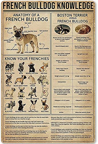 AXHNG Vintage Französische Bulldogge Wissen Neujahr The So That Children Can Gain Knowledge Daily Life Poster Metall Aluminium Blechschild 20,3 x 15,2 cm Wanddekoration von AXHNG
