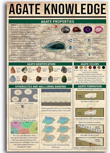 Vintage Achat Wissen Achat Referenz Achat Liebhaber Study Guide Poster Metall Aluminium Blechschild 20,3 x 30,5 cm Wanddekoration von AXHNG