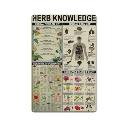 Vintage Herb Knowledge Herbal First Aid Kit Apotheker Study Guide Apotheker Pädagogisches modernes Poster Metall Aluminium Blechschild 20,3 x 30,5 cm Wanddekoration von AXHNG