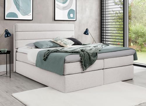 AXLIVING Boxspringbett 160x200 mit Matratze und Topper Sequoio Creme AXLIVING Boxspringbett 160x200 mit Matratze und Topper Sequoio Creme von AXLIVING