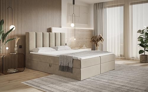 AXLIVING Boxspringbett Bonio I – 160 cm Breite, Schlafkomfort Beige von AXLIVING