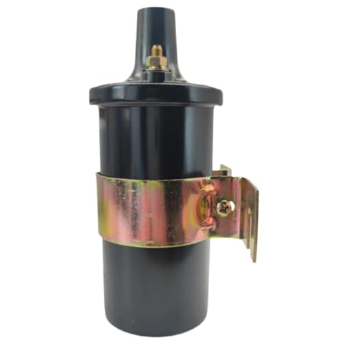AXRMLVRD Zündspule für Mercruiser Thunderbolt IV & V V6 V8 8M0079202 Ersetzen 392-7803A4 392-805570A2 392-805570A118-5438 AXRMLVRD Zündspule für Mercruiser Thunderbolt IV & V V6 V8 8M0079202 Ersetzen 392-7803A4 392-805570A2 392-805570A118-5438 von AXRMLVRD