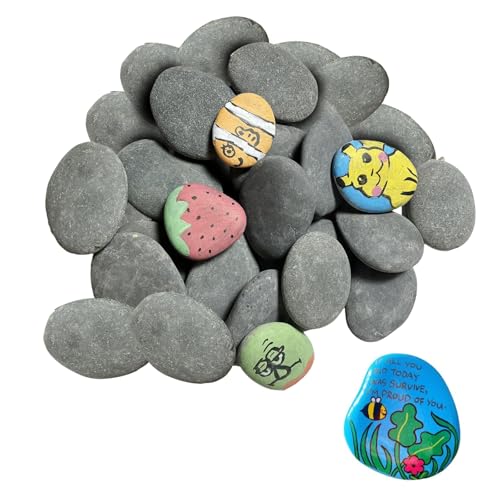 60 Stück Flache Steine zum Bemalen, 2-4cm Dekosteine Naturstein, Natürlicher Flussstein, Glatte Kieselsteine DIY Aquarium Deko für Mandala Bemalen, Zen Garten,Blumentöpfen und Aquarien (60p/2-4cm) 60 Stück Flache Steine zum Bemalen, 2-4cm Dekosteine Naturstein, Natürlicher Flussstein, Glatte Kieselsteine DIY Aquarium Deko für Mandala Bemalen, Zen Garten,Blumentöpfen und Aquarien (60p/2-4cm) von AXVRAV