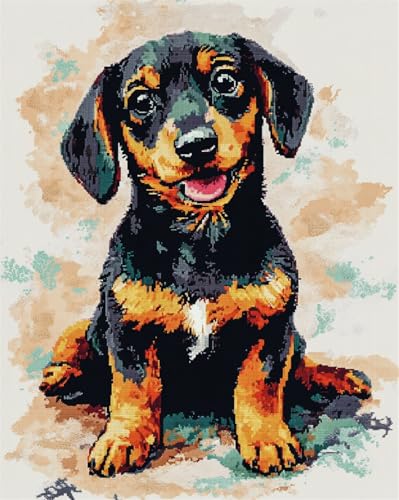 AYAOYANGGO Hund Tier Latch Hook Rug Kit Fantasie-Dackel Knüpfsets, Teppiche-Häkelset Für Erwachsene Und Anfänger, Diy-Teppich-Set, Handarbeiten, Heimdekoration 35x46in von AYAOYANGGO