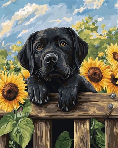 AYAOYANGGO Hund Tier Teppich Knüpfen Set Labrador Retriever Und Sonnenblumen Knüpfteppich-Sets Für Erwachsene Und Kinder, Diy-Handarbeit, Häkelteppich-Set Mit Farbig Vorgedrucktem Muster 31x63in von AYAOYANGGO