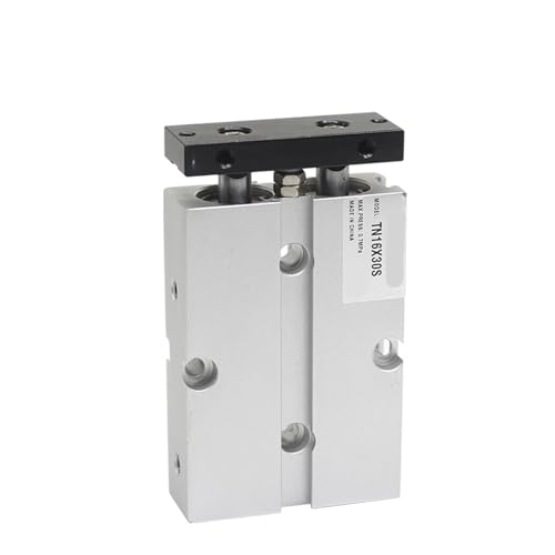 AYJYZHIAG Zwei Stange Zylinder Mit Magnet Air Pneumatische TN10X10S TN16X20S TN20X30S TN32X40S TN40X50S TN50X60S(TN16,20mm Stroke) von AYJYZHIAG